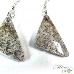 Boucles d'oreilles - Corail fossile