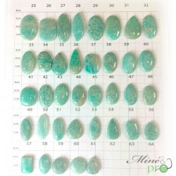 Amazonite -  cabochons percés